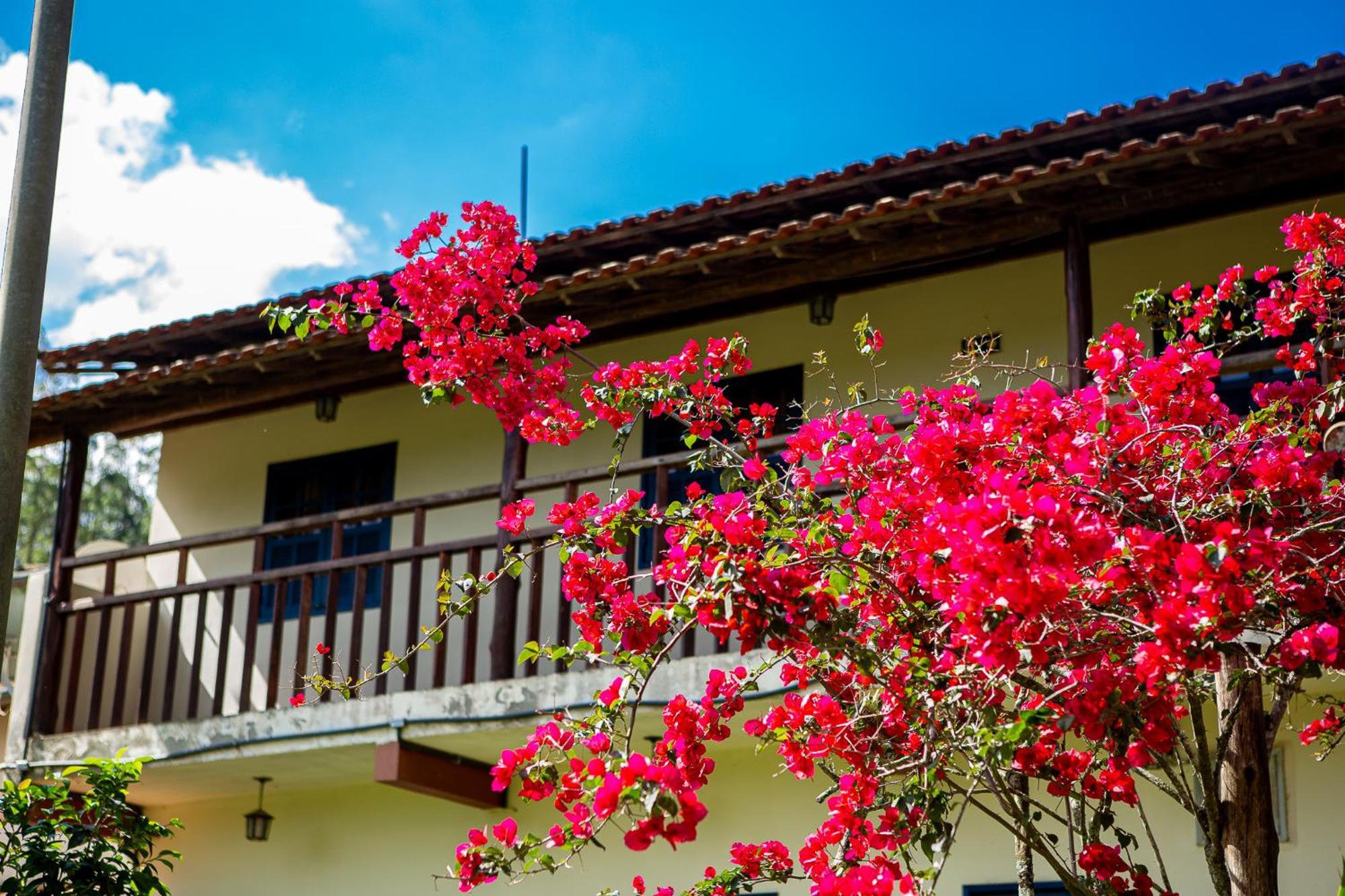Fazenda Hotel Alvorada Santos Dumont Eksteriør bilde